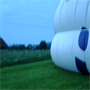 DSCF0036