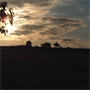 DSCF0120