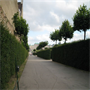 Wien08028